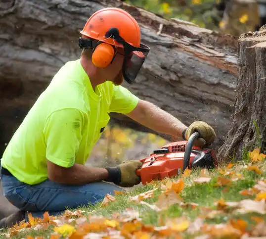 tree services Morganton